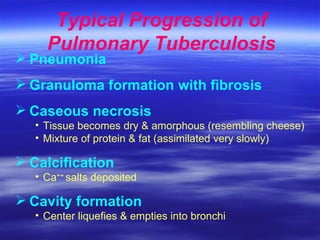 Pneumonia Granuloma formation with fibrosis Caseous necrosis Tissue becomes dry & amorphous (resembling cheese) Mixture of protein & fat (assimilated very slowly) Calcification Ca ++  salts deposited Cavity formation Center liquefies & empties into bronchi Typical Progression of Pulmonary Tuberculosis 