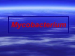 Mycobacterium 