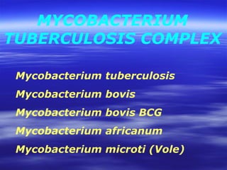 Mycobacterium tuberculosis Mycobacterium bovis Mycobacterium bovis BCG Mycobacterium africanum Mycobacterium microti (Vole)  MYCOBACTERIUM TUBERCULOSIS COMPLEX 