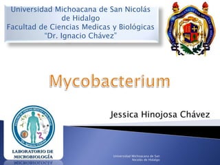 Universidad Michoacana de San Nicolás 
de Hidalgo 
Facultad de Ciencias Medicas y Biológicas 
“Dr. Ignacio Chávez” 
Jessica Hinojosa Chávez 
Universidad Michoacana de San 
Nicolás de Hidalgo 
 