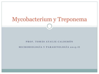 Mycobacterium y Treponema

PROF. TOMÁS ATAUJE CALDERÓN
MICROBIOLOGÍA Y PARASITOLOGÍA 2013-II

 