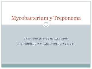 PROF. TOMÁS ATAUJE CALDERÓN 
MICROBIOLOGÍA Y PARASITOLOGÍA 2013-II 
Mycobacterium y Treponema  