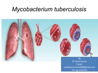 Mycobacterium tuberculosis
By
Dr Amit kumar
Email:
amitkumarshahi90@gmail.com
For pg students
 