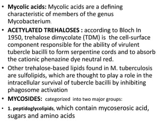 • Mycolic acids: Mycolic acids are a deﬁning
characteristic of members of the genus
Mycobacterium.
• ACETYLATED TREHALOSES : according to Bloch In
1950, trehalose dimycolate (TDM) is the cell-surface
component responsible for the ability of virulent
tubercle bacilli to form serpentine cords and to absorb
the cationic phenazine dye neutral red.
• Other trehalose-based lipids found in M. tuberculosis
are sulfolipids, which are thought to play a role in the
intracellular survival of tubercle bacilli by inhibiting
phagosome activation
• MYCOSIDES: categorized into two major groups:
• 1. peptidoglycolipids, which contain mycoserosic acid,
sugars and amino acids
 