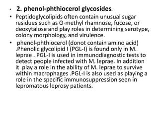• 2. phenol-phthiocerol glycosides.
• Peptidoglycolipids often contain unusual sugar
residues such as O-methyl rhamnose, fucose, or
deoxytalose and play roles in determining serotype,
colony morphology, and virulence.
• phenol-phthiocerol (donot contain amino acid)
.Phenolic glycolipid I (PGL-I) is found only in M.
leprae . PGL-I is used in immunodiagnostic tests to
detect people infected with M. leprae. In addition
it play a role in the ability of M. leprae to survive
within macrophages .PGL-I is also used as playing a
role in the speciﬁc immunosuppression seen in
lepromatous leprosy patients.
 