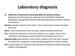 Laboratory diagnosis
1) Collection of specimens and preparation for primary culture :
Specimens should always be collected and submitted in leakproof,
disposable, appropriately labeled laboratoryapproved containers without
any ﬁxatives.
Sputum: samples should not be saliva , three consecutive sample should be
examned
Urine : three consecutive early morning sample should be examned
Pus : should be collected in universal container or in syring , if pus is very
small then two separate swab should for microscopic and culture.
Aspirate fluids (pleural fluid , ascitic fluid) is liable to clot that why it should
be collected in containers containing anticoagulant (tri-sodium citrate).
CSF: should always be collected and submitted in leakproof, plastic disposable
without anticoagulant.
 
