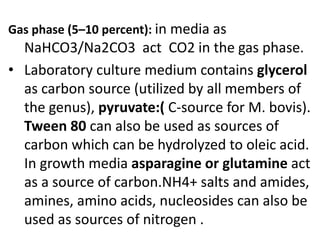 Gas phase (5–10 percent): in media as
NaHCO3/Na2CO3 act CO2 in the gas phase.
• Laboratory culture medium contains glycerol
as carbon source (utilized by all members of
the genus), pyruvate:( C-source for M. bovis).
Tween 80 can also be used as sources of
carbon which can be hydrolyzed to oleic acid.
In growth media asparagine or glutamine act
as a source of carbon.NH4+ salts and amides,
amines, amino acids, nucleosides can also be
used as sources of nitrogen .
 