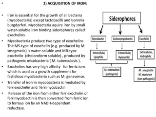 • 2) ACQUISITION OF IRON:
• Iron is essential for the growth of all bacteria
(mycobacteria) except lactobacilli and borrelia
burgdorferi. Mycobacteria aquire iron by small
water-soluble iron binding siderophores called
exochelins
• Mycobacteria produce two type of exochelins
The MS-type of exochelin (e.g. produced by M.
smegmatis) is water-soluble and MB-type
exochelin (choloroform soluble) , produced by
pathogenic micobacteria ( M. tuberculosis ).
• Exochelins has very high affinity for ferric ions
which is used as a growth supplement for
fastidious mycobacteria such as M. genavense.
• Transfer of iron in mycobacteria is mediated by
ferriexochelin and ferrimycobactin
• Release of the iron from either ferriexochelin or
ferrimycobactin is then converted from ferric ion
to ferrous ion by an NADH-dependent
reductase.
 