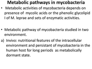 Metabolic pathways in mycobacteria
• Metabolic activities of mycobacteria depends on
presence of mycolic acids or the phenolic glycolipid
I of M. leprae and sets of enzymatic activities.
• Metabolic pathway of mycobacteria studied in two
environment.
a) Invivo: nutritional features of the intracellular
environment and persistant of mycobacteria in the
human host for long periods as metabolically
dormant state.
 
