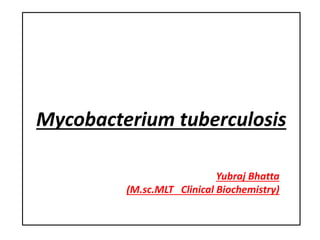 Mycobacterium tuberculosis
Yubraj Bhatta
(M.sc.MLT Clinical Biochemistry)
 