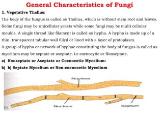 General Characteristics of Fungi
1. Vegetative Thallus:
The body of the fungus is called as Thallus, which is without stem root and leaves.
Some fungi may be unicellular yeasts while some fungi may be multi cellular
moulds. A single thread like filament is called as hypha. A hypha is made up of a
thin, transparent tabular wall filled or lined with a layer of protoplasm.
A group of hypha or network of hyphae constituting the body of fungus is called as
mycelium may be septate or aseptate. i.e coenocytic or Nonseptate.
a) Nonseptate or Aseptate or Coenocetic Mycelium:
b) b) Septate Mycelium or Non-coenocetic Mycelium
 
