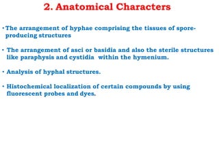 2. Anatomical Characters
• The arrangement of hyphae comprising the tissues of spore-
producing structures
• The arrangement of asci or basidia and also the sterile structures
like paraphysis and cystidia within the hymenium.
• Analysis of hyphal structures.
• Histochemical localization of certain compounds by using
fluorescent probes and dyes.
 