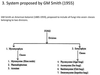 3. System proposed by GM Smith (1955)
GM Smith an American botanist (1885-1959), proposed to include all fungi into seven classes
belonging to two divisions.
 