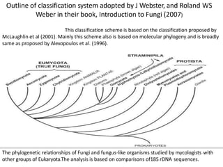Outline of classification system adopted by J Webster, and Roland WS
Weber in their book, Introduction to Fungi (2007)
This classification scheme is based on the classification proposed by
McLaughlin et al (2001). Mainly this scheme also is based on molecular phylogeny and is broadly
same as proposed by Alexopoulos et al. (1996).
The phylogenetic relationships of Fungi and fungus-like organisms studied by mycologists with
other groups of Eukaryota.The analysis is based on comparisons of18S rDNA sequences.
 