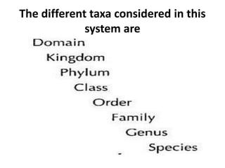 The different taxa considered in this
system are
 