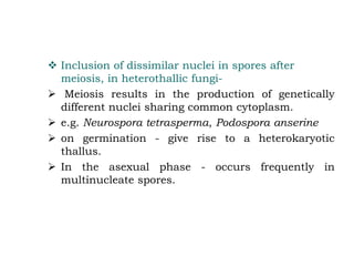 ❖ Inclusion of dissimilar nuclei in spores after
meiosis, in heterothallic fungi-
➢ Meiosis results in the production of genetically
different nuclei sharing common cytoplasm.
➢ e.g. Neurospora tetrasperma, Podospora anserine
➢ on germination - give rise to a heterokaryotic
thallus.
➢ In the asexual phase - occurs frequently in
multinucleate spores.
 