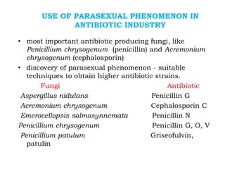 USE OF PARASEXUAL PHENOMENON IN
ANTIBIOTIC INDUSTRY
• most important antibiotic producing fungi, like
Penicillium chrysogenum (penicillin) and Acremonium
chrysogenum (cephalosporin)
• discovery of parasexual phenomenon - suitable
techniques to obtain higher antibiotic strains.
Fungi Antibiotic
Aspergillus nidulans Penicillin G
Acremonium chrysogenum Cephalosporin C
Emerocellopsis salmosynnemata Penicillin N
Penicillium chrysogenum Penicillin G, O, V
Penicillium patulum Griseofulvin,
patulin
 