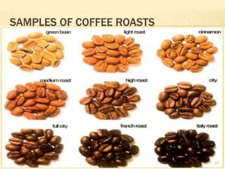 SAMPLES OF COFFEE ROASTS
17
 