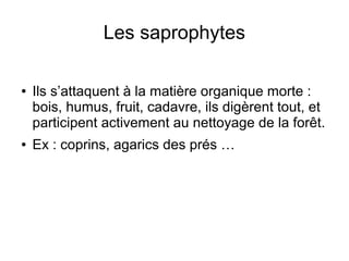 Les saprophytes
● Ils s’attaquent à la matière organique morte :
bois, humus, fruit, cadavre, ils digèrent tout, et
participent activement au nettoyage de la forêt.
● Ex : coprins, agarics des prés …
 