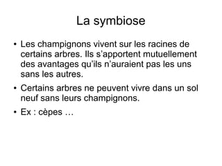 La symbiose
● Les champignons vivent sur les racines de
certains arbres. Ils s’apportent mutuellement
des avantages qu’ils n’auraient pas les uns
sans les autres.
● Certains arbres ne peuvent vivre dans un sol
neuf sans leurs champignons.
● Ex : cèpes …
 