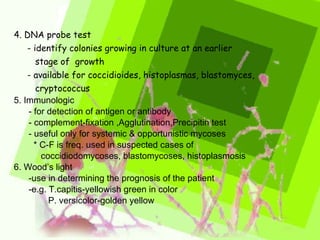 4. DNA probe test - identify colonies growing in culture at an earlier  stage of  growth - available for coccidioides, histoplasmas, blastomyces,  cryptococcus 5. Immunologic - for detection of antigen or antibody - complement-fixation ,Agglutination,Precipitin test - useful only for systemic & opportunistic mycoses * C-F is freq. used in suspected cases of  coccidiodomycoses, blastomycoses, histoplasmosis  6. Wood’s light -use in determining the prognosis of the patient -e.g. T.capitis-yellowish green in color P. versicolor-golden yellow 