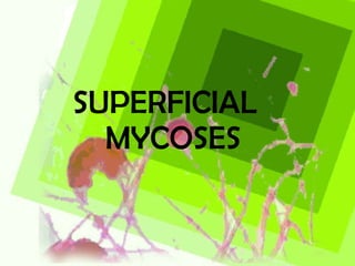 SUPERFICIAL  MYCOSES 