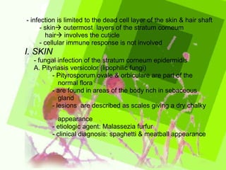 - infection is limited to the dead cell layer of the skin & hair shaft - skin   outermost  layers of the stratum corneum hair   involves the cuticle - cellular immune response is not involved  I. SKIN - fungal infection of the stratum corneum epidermidis A. Pityriasis versicolor (lipophilic fungi) - Pityrosporum ovale & orbiculare are part of the  normal flora  - are found in areas of the body rich in sebaceous  gland - lesions  are described as scales giving a dry chalky  appearance - etiologic agent: Malassezia furfur - clinical diagnosis: spaghetti & meatball appearance 