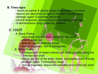 B. Tinea nigra - found on palmar & plantar areas of the stratum corneum - lesions are described as light to blackish macular areas - etiologic agent: Exiophiala werneckii - clinical diagnosis: septate hypahe & budding yeast cells - a dematiaceous fungi producing melanin II. HAIR A. Black Piedra - hard black nodules found along the hair shaft - affects scalp hair - etiologic agent: Piedraia hortae - clinical diagnosis: asci & ascospores B. White Piedra - development  of cream colored soft pasty growths along the  infected hair shaft - affects the hair of the axilla, beard, moustache,pubic & scalp - etiologic agent: Trichosporon beigli - clinical diagnosis: sleeve-like colarette around the hair shaft 