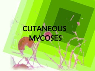 CUTANEOUS  MYCOSES 