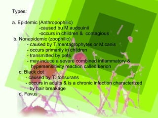 Types: a. Epidemic (Anthropophilic) -caused bu M.audouinii -occurs in children &  contagious b. Nonepidemic (zoophilic) - caused by T.mentagrophytes or M.canis - occurs primarily in children - transmitted by pets - may induce a severe combined inflammatory &  hypersensitivity reaction called kerion c. Black dot - caused by T. tonsurans - occurs in adults & is a chronic infection characterized  by hair breakage d. Favus 
