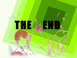 THE  END 