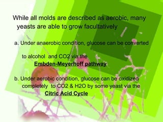 While all molds are described as aerobic, many  yeasts are able to grow facultatively a. Under anaerobic condition, glucose can be converted  to alcohol  and CO2 via the Embden-Meyerhoff pathway b. Under aerobic condition, glucose can be oxidized  completely  to CO2 & H2O by some yeast via the Citric Acid Cycle 