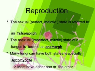Reproduction *   The sexual (perfect, meiotic ) state is referred to  as  teleomorph *   The asexual (imperfect, mitotic) state of a  fungus is  termed as  anamorph *   Many fungi can have both states, especially  Ascomycota > Most have either one or  the other 
