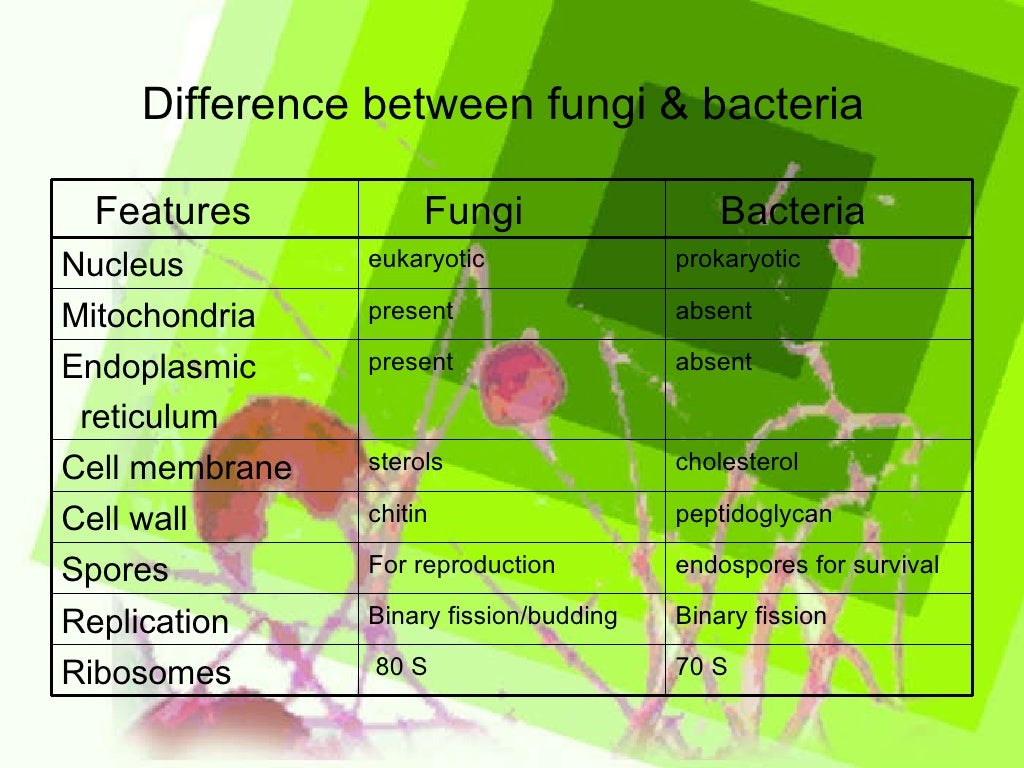 Mycology