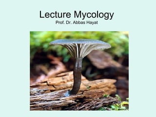 Lecture Mycology
Prof. Dr. Abbas Hayat
 