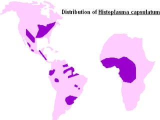 Mycological Maps Mycology | PPT