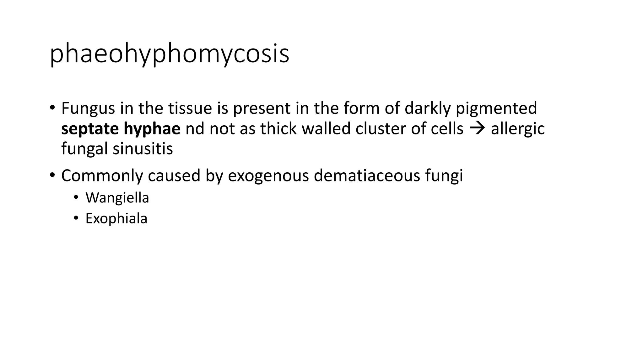 phaeohyphomycosis
• Fungus in the tissue is present in the form of darkly pigmented
septate hyphae nd not as thick walled cluster of cells  allergic
fungal sinusitis
• Commonly caused by exogenous dematiaceous fungi
• Wangiella
• Exophiala
 
