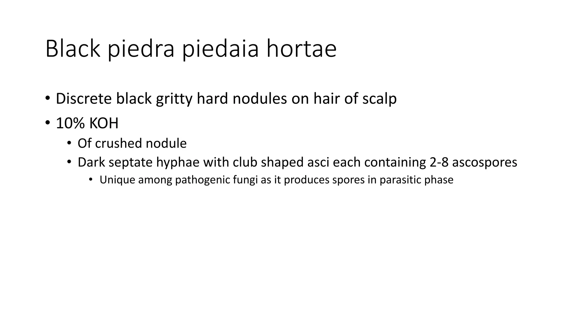 Black piedra piedaia hortae
• Discrete black gritty hard nodules on hair of scalp
• 10% KOH
• Of crushed nodule
• Dark septate hyphae with club shaped asci each containing 2-8 ascospores
• Unique among pathogenic fungi as it produces spores in parasitic phase
 