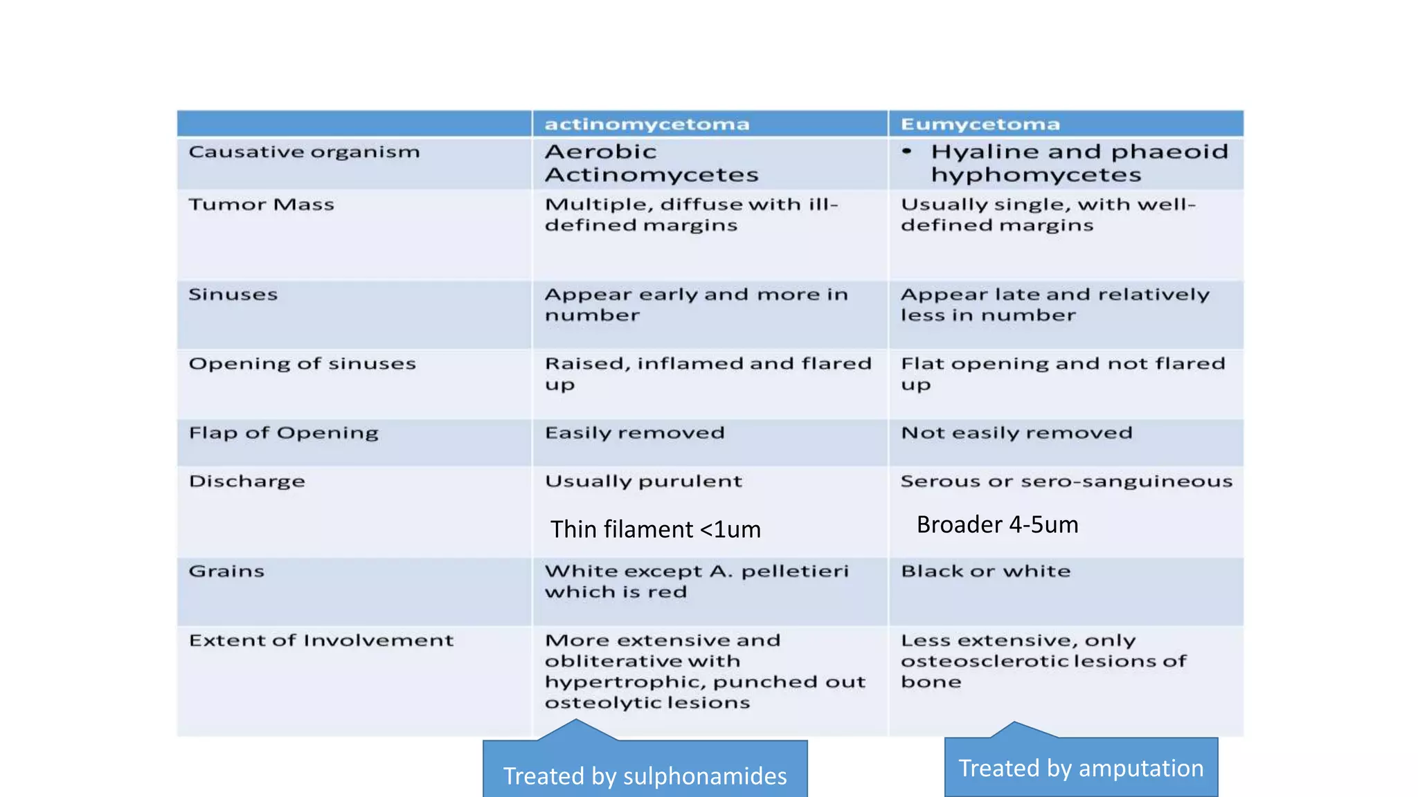 Thin filament <1um Broader 4-5um
Treated by sulphonamides Treated by amputation
 