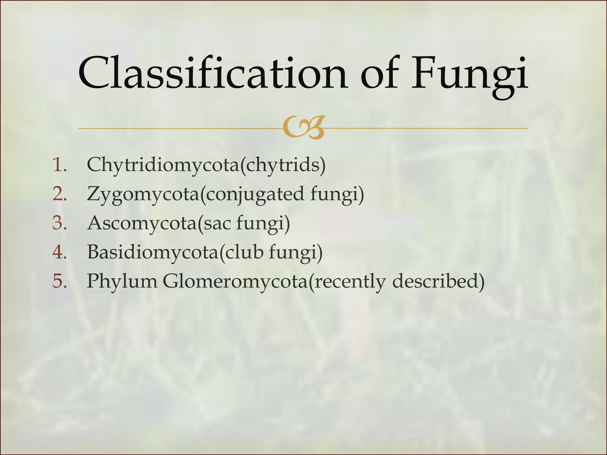 mycology-powerpoint-presentation-ppt