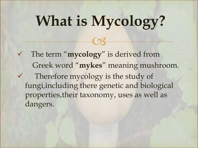 mycology-powerpoint-presentation-pptx