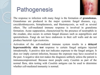 Pathogenesis
 The response to infection with many fungi is the formation of granulomas.
Granulomas are produced in the major systemic fungal diseases, e.g.,
coccidioidomycosis, histoplasmosis, and blastomycosis, as well as several
others. The cell-mediated immune response is involved in granuloma
formation. Acute suppuration, characterized by the presence of neutrophils in
the exudate, also occurs in certain fungal diseases such as aspergillosis and
sporotrichosis. Fungi do not have endotoxin in their cell walls and do not
produce bacterial- type exotoxins.
 Activation of the cell-mediated immune system results in a delayed
hypersensitivity skin test response to certain fungal antigens injected
intradermally. A positive skin test indicates exposure to the fungal antigen. It
does not imply current infection, because the exposure may have occurred in
the past. A negative skin test makes the diagnosis unlikely unless the patient is
immunocompromised. Because most people carry Candida as part of the
normal flora, skin testing with Candida antigens can be used to determine
whether cell-mediated immunity is normal.
 