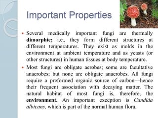 Important Properties
 Several medically important fungi are thermally
dimorphic; i.e., they form different structures at
different temperatures. They exist as molds in the
environment at ambient temperature and as yeasts (or
other structures) in human tissues at body temperature.
 Most fungi are obligate aerobes; some are facultative
anaerobes; but none are obligate anaerobes. All fungi
require a preformed organic source of carbon—hence
their frequent association with decaying matter. The
natural habitat of most fungi is, therefore, the
environment. An important exception is Candida
albicans, which is part of the normal human flora.
 