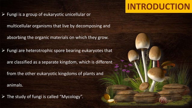 Mycology (Fungi Introduction) | PPT