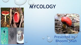 MYCOLOGY
Presented by –
Bhoomi Shah
 