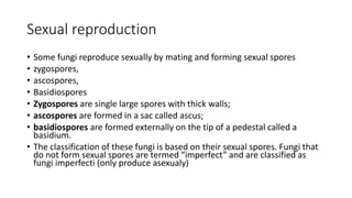 Sexual reproduction
• Some fungi reproduce sexually by mating and forming sexual spores
• zygospores,
• ascospores,
• Basidiospores
• Zygospores are single large spores with thick walls;
• ascospores are formed in a sac called ascus;
• basidiospores are formed externally on the tip of a pedestal called a
basidium.
• The classification of these fungi is based on their sexual spores. Fungi that
do not form sexual spores are termed “imperfect” and are classified as
fungi imperfecti (only produce asexualy)
 