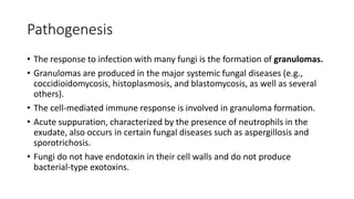 Pathogenesis
• The response to infection with many fungi is the formation of granulomas.
• Granulomas are produced in the major systemic fungal diseases (e.g.,
coccidioidomycosis, histoplasmosis, and blastomycosis, as well as several
others).
• The cell-mediated immune response is involved in granuloma formation.
• Acute suppuration, characterized by the presence of neutrophils in the
exudate, also occurs in certain fungal diseases such as aspergillosis and
sporotrichosis.
• Fungi do not have endotoxin in their cell walls and do not produce
bacterial-type exotoxins.
 
