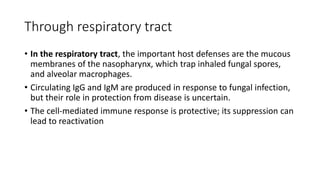 Through respiratory tract
• In the respiratory tract, the important host defenses are the mucous
membranes of the nasopharynx, which trap inhaled fungal spores,
and alveolar macrophages.
• Circulating IgG and IgM are produced in response to fungal infection,
but their role in protection from disease is uncertain.
• The cell-mediated immune response is protective; its suppression can
lead to reactivation
 