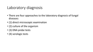 Laboratory diagnosis
• There are four approaches to the laboratory diagnosis of fungal
diseases:
• (1) direct microscopic examination
• (2) culture of the organism
• (3) DNA probe tests
• (4) serologic tests
 