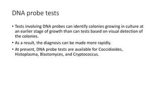 DNA probe tests
• Tests involving DNA probes can identify colonies growing in culture at
an earlier stage of growth than can tests based on visual detection of
the colonies.
• As a result, the diagnosis can be made more rapidly.
• At present, DNA probe tests are available for Coccidioides,
Histoplasma, Blastomyces, and Cryptococcus.
 